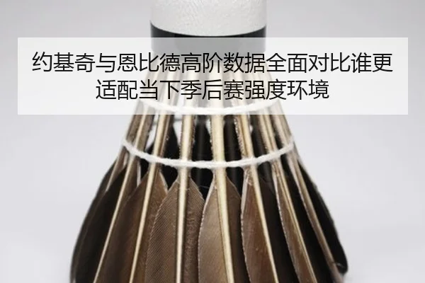 约基奇与恩比德高阶数据全面对比谁更适配当下季后赛强度环境